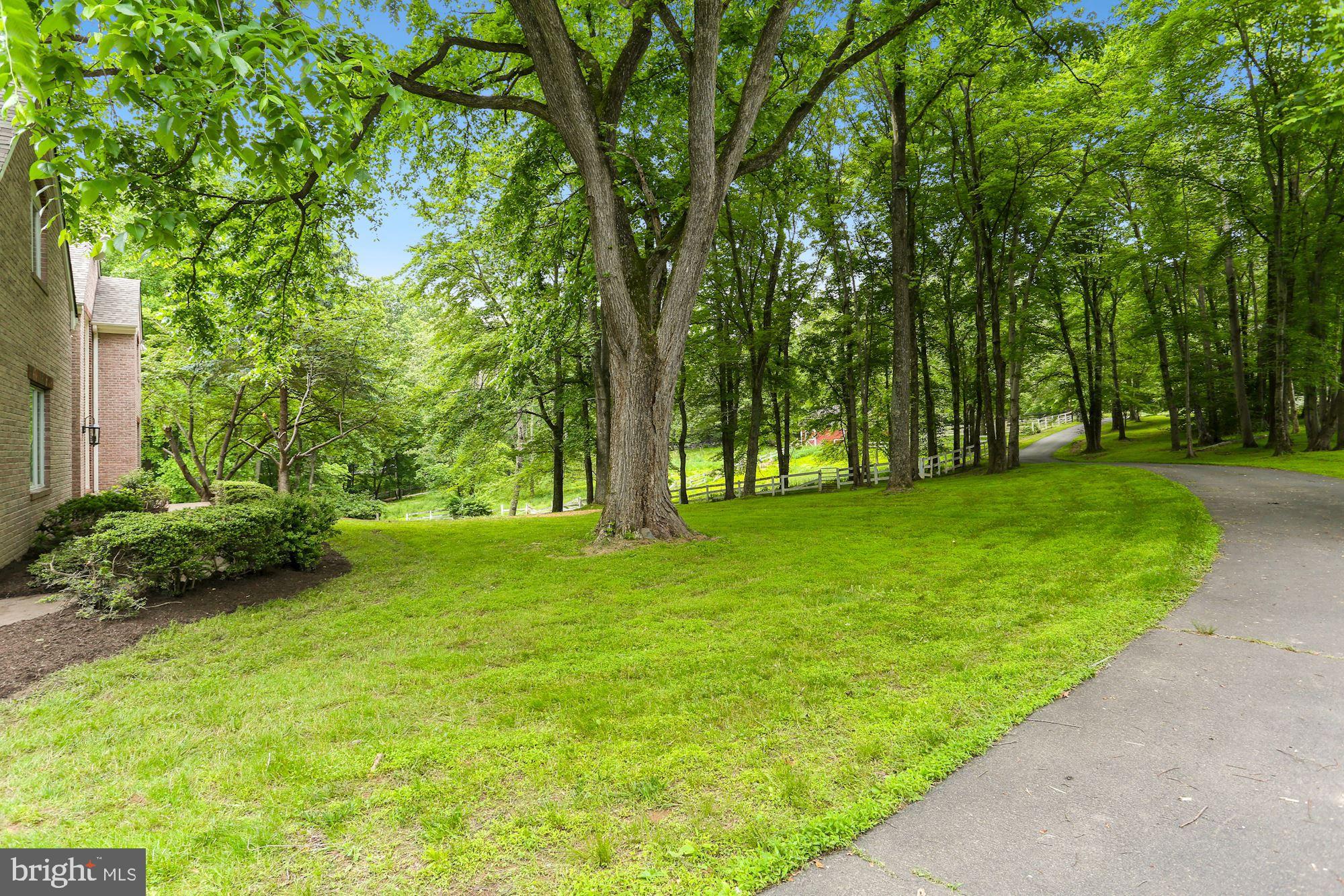 CHINQUAPIN MANOR - Residential