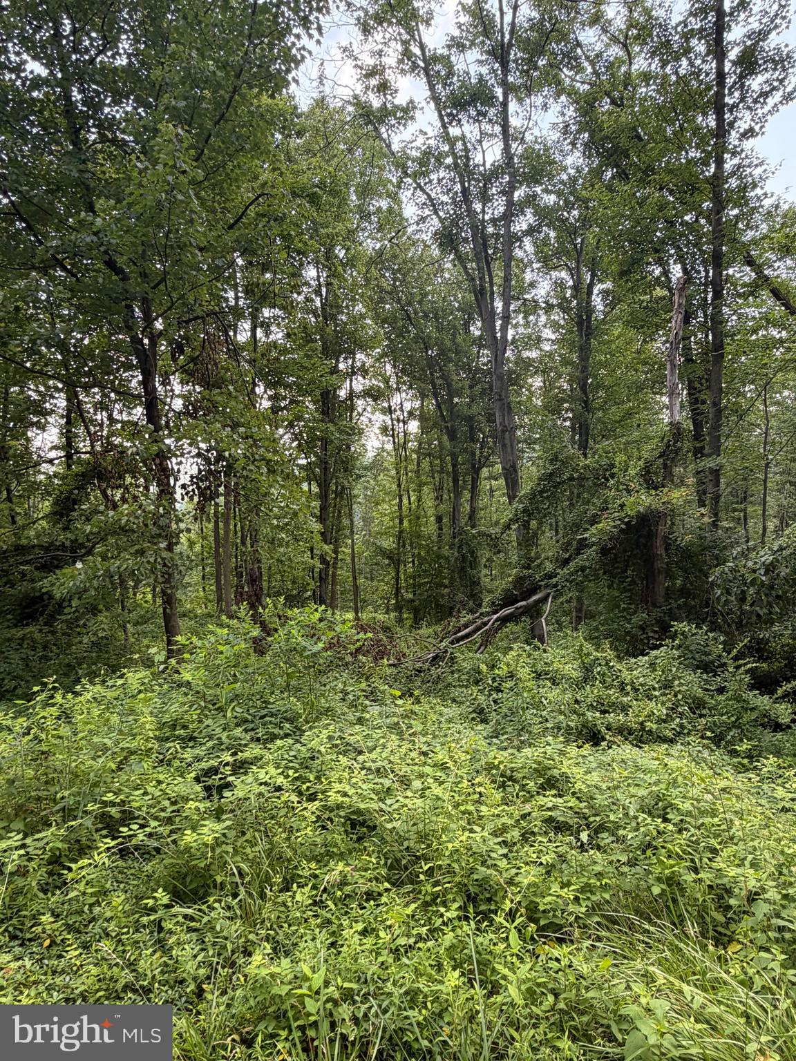6389 LIBERTY ROAD