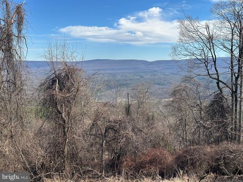LOTS # 35 & 117 RIVER RIDGE YELLOW SPRING WV 26865