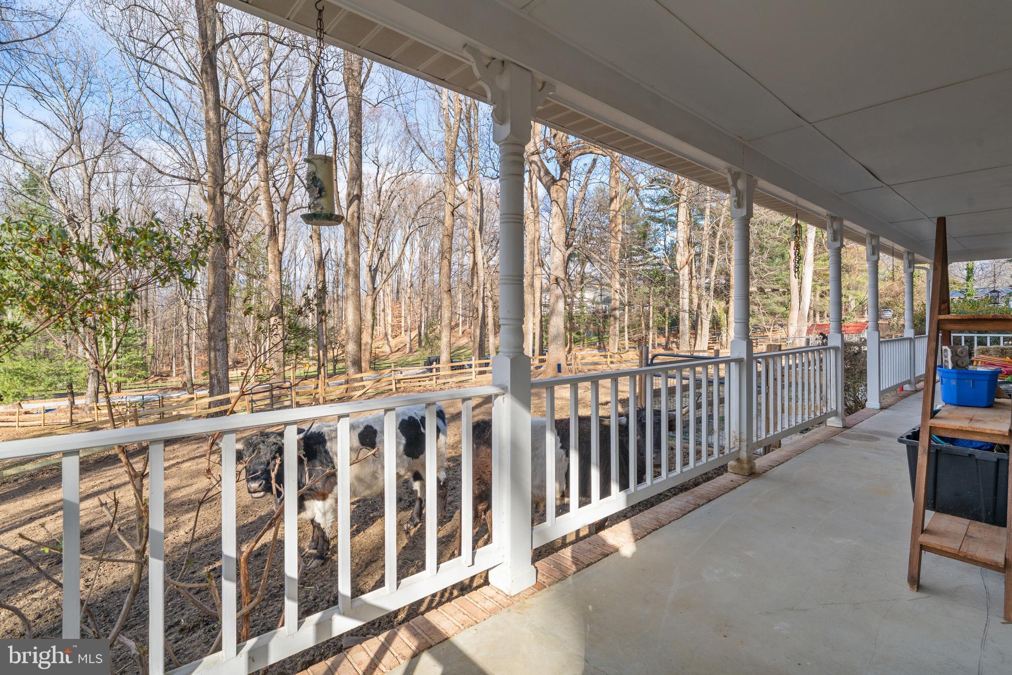 5918 OLD CROOM STATION ROAD