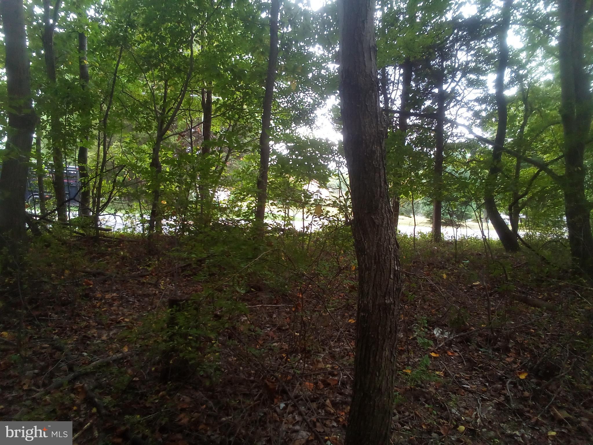 NONE AVAILABLE - Land