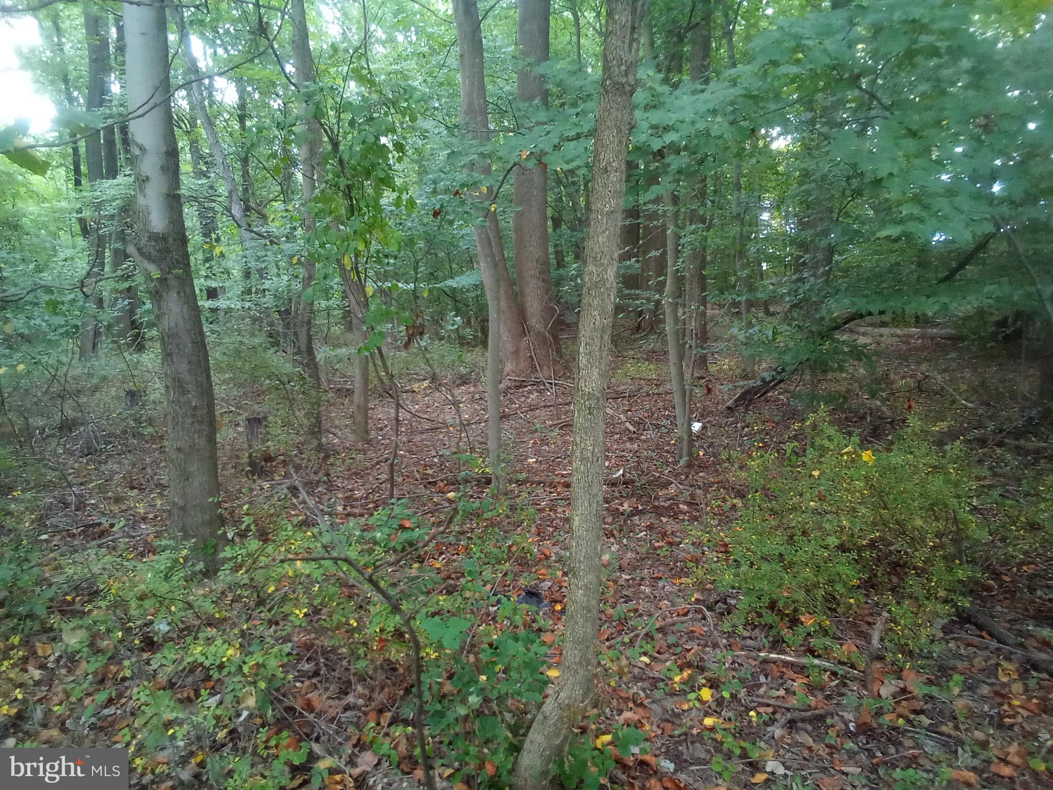 NONE AVAILABLE - Land