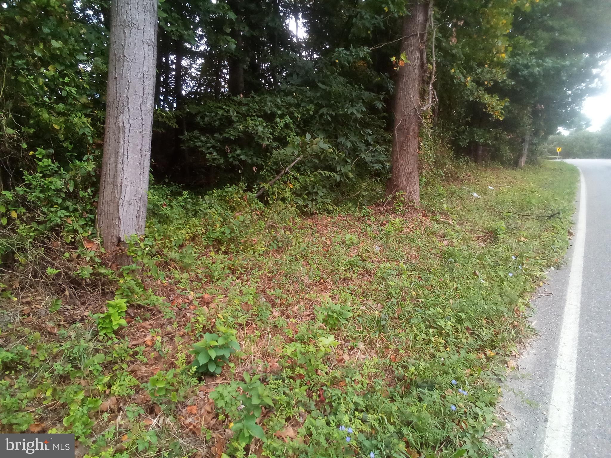 NONE AVAILABLE - Land