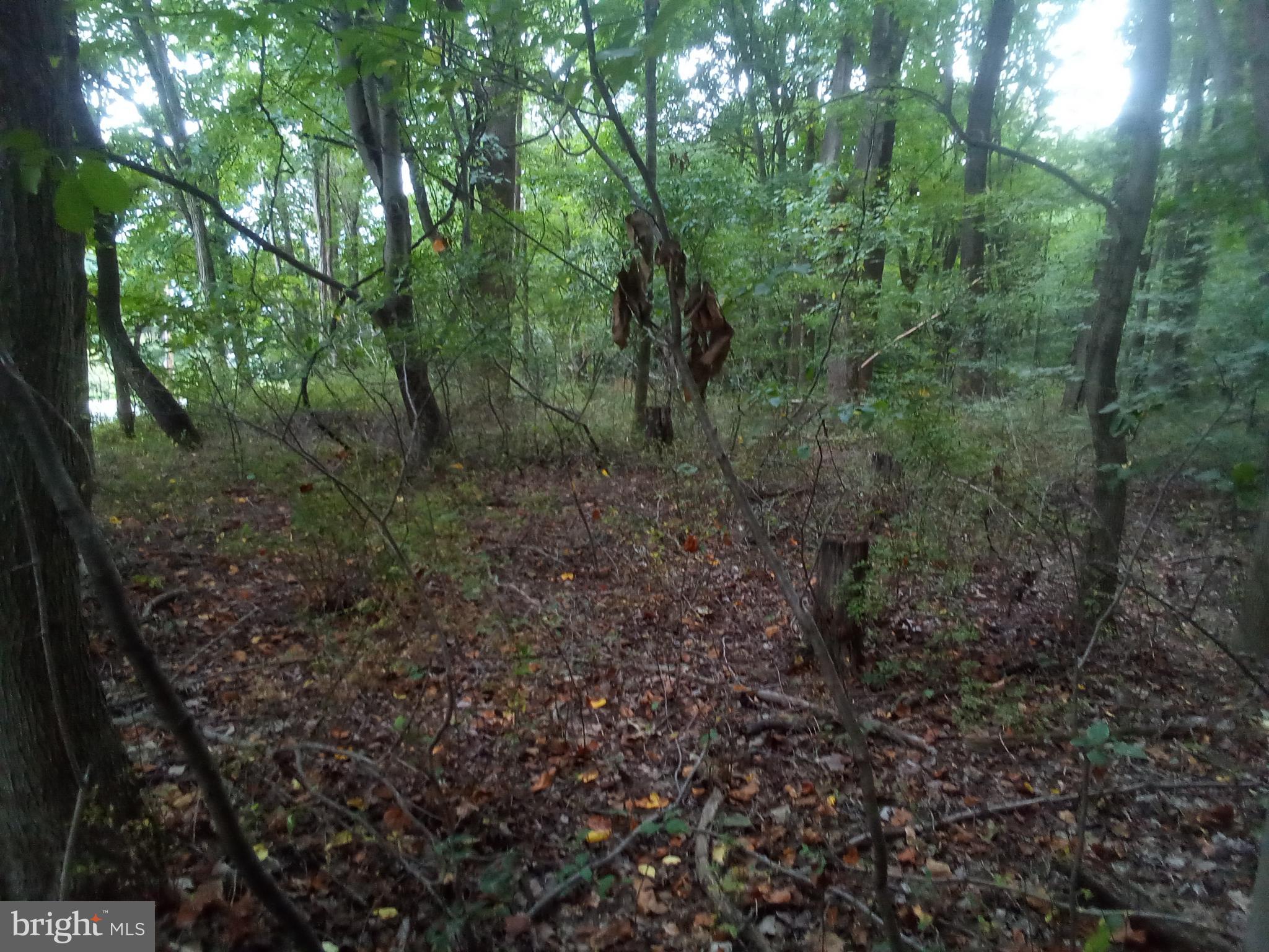 NONE AVAILABLE - Land