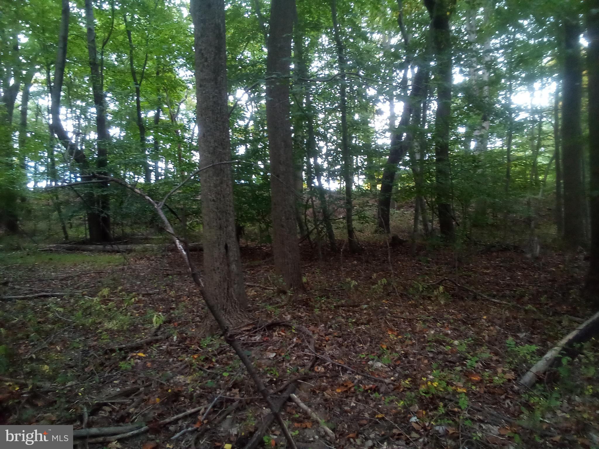 NONE AVAILABLE - Land