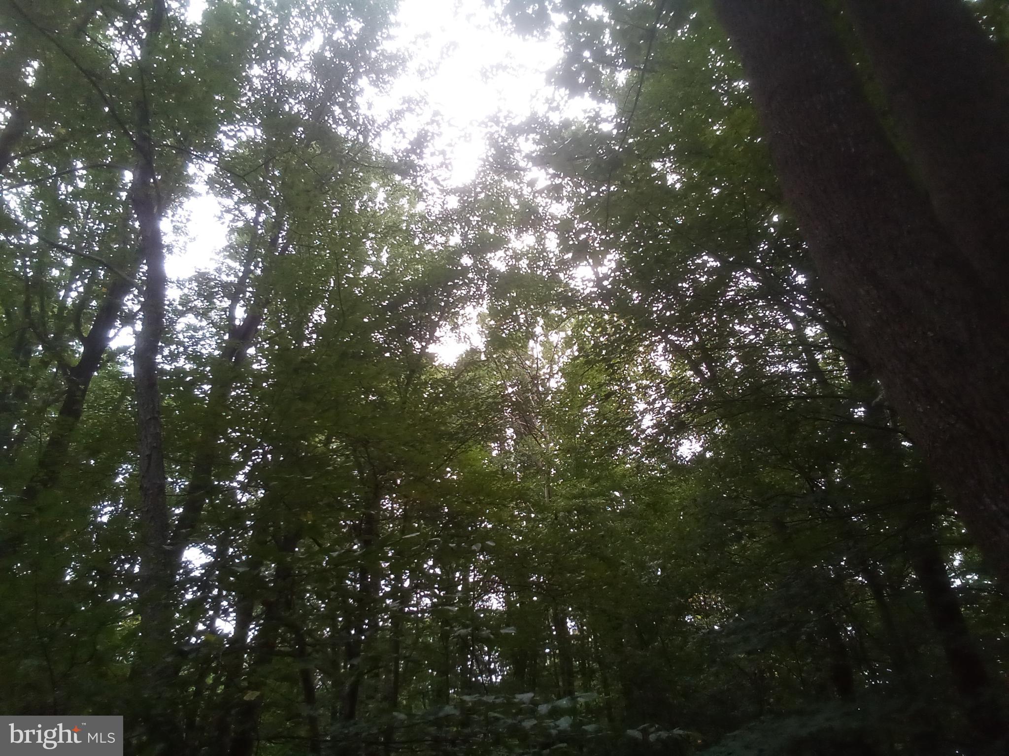 NONE AVAILABLE - Land