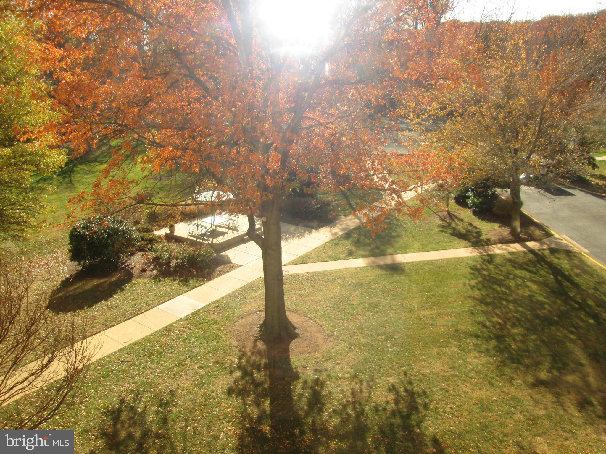 RIVER TOWERS - Residential