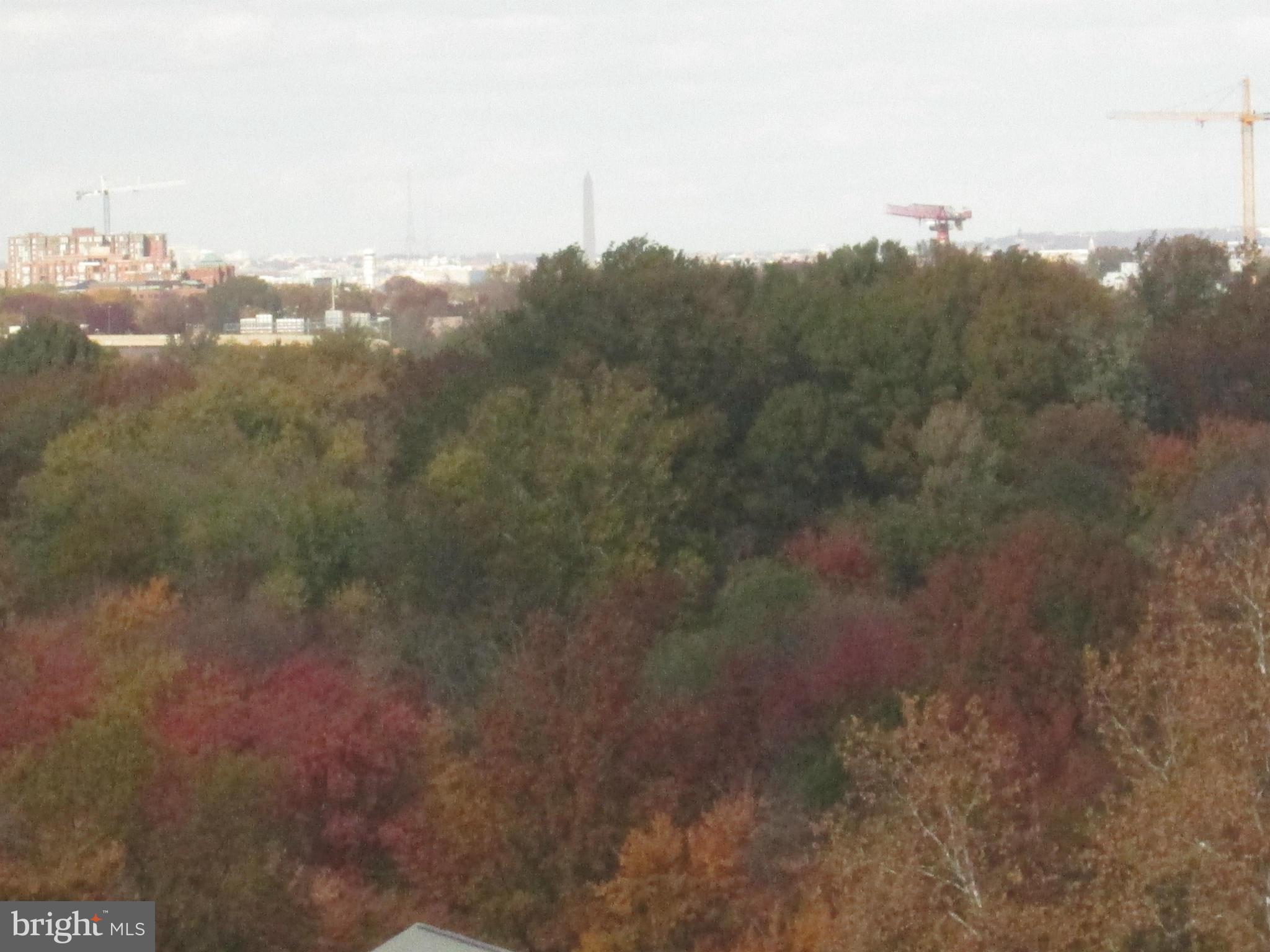 RIVER TOWERS - Residential