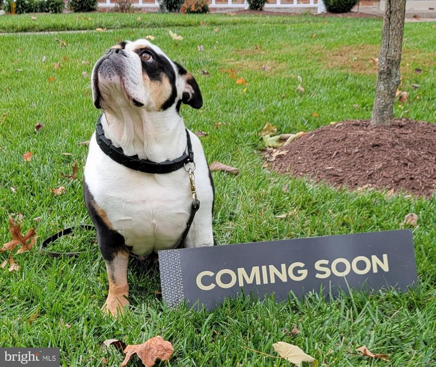 COMING SOON!  Welcome home to a space designed for both comfort and connection. This Montgomery Village home offers a fresh, move-in ready feel with new luxury vinyl plank flooring on the main level and basement, an updated kitchen, and a renovated main-level half bath ideal for everyday living and entertaining. Upstairs, enjoy brand-new carpet in all bedrooms, a completely redone hall bath, and a spacious primary bedroom with an updated ensuite bath, creating a relaxing private retreat. Step outside to a deck and fenced backyard, perfect for entertaining, play, or unwinding at the end of the day, and enjoy peace of mind with new exterior doors, a new water heater, and a roof and HVAC both just 3 years old—a truly inviting place to call home.