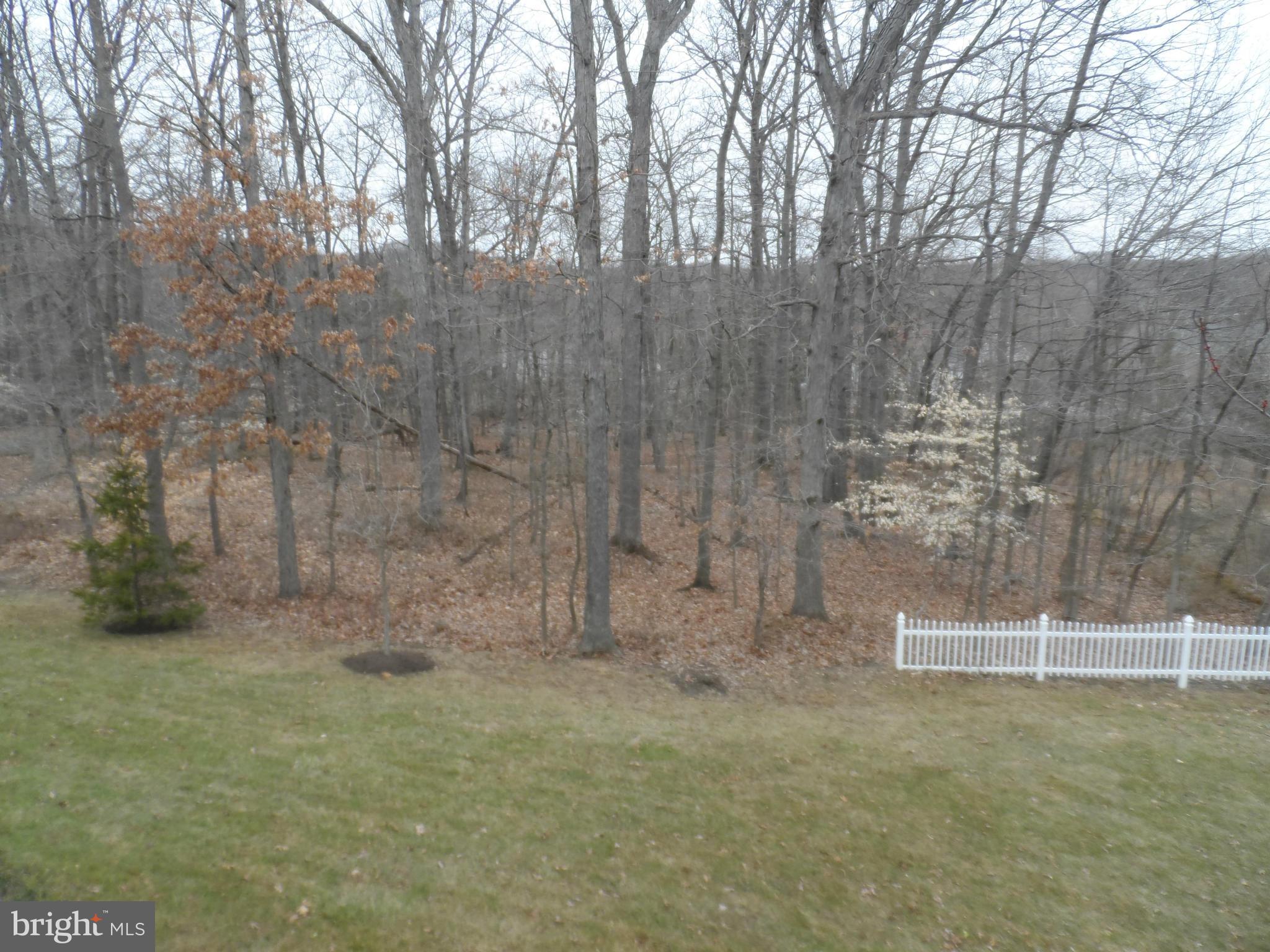 SATYR HILL MANOR - Residential