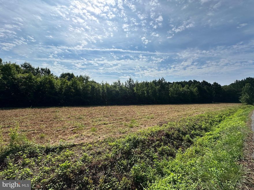 2 acre lot with approved perc in Marion Station. Build your own home in this peaceful oasis. Lots of road frontage, country living at its best, not far from Crisfield and the Chesapeake Bay.