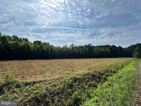 Vacant Land For Sale - Whites Road<br/> MARION STATION, MD 21838