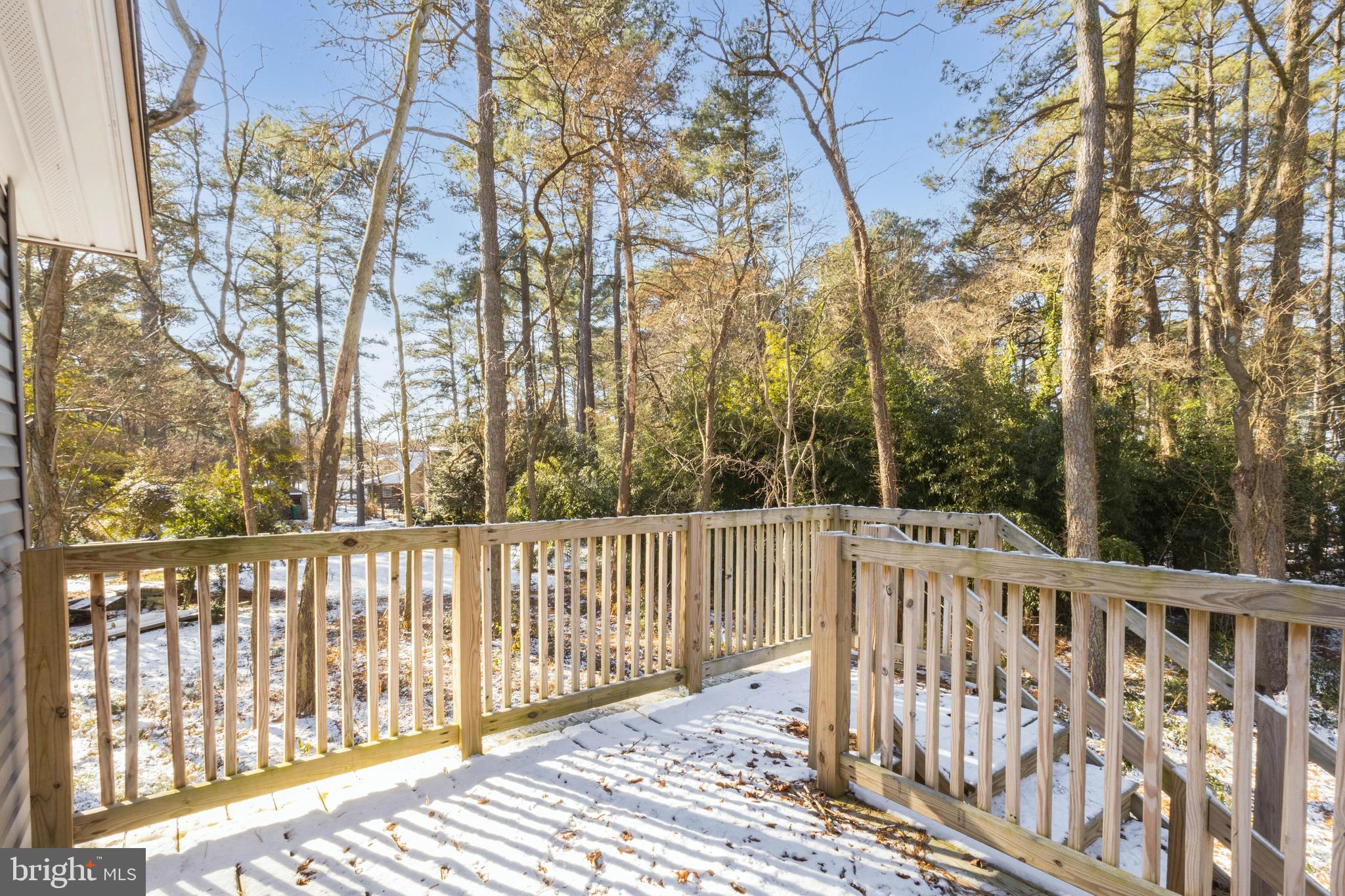 20168 W COLLINS MILL DRIVE