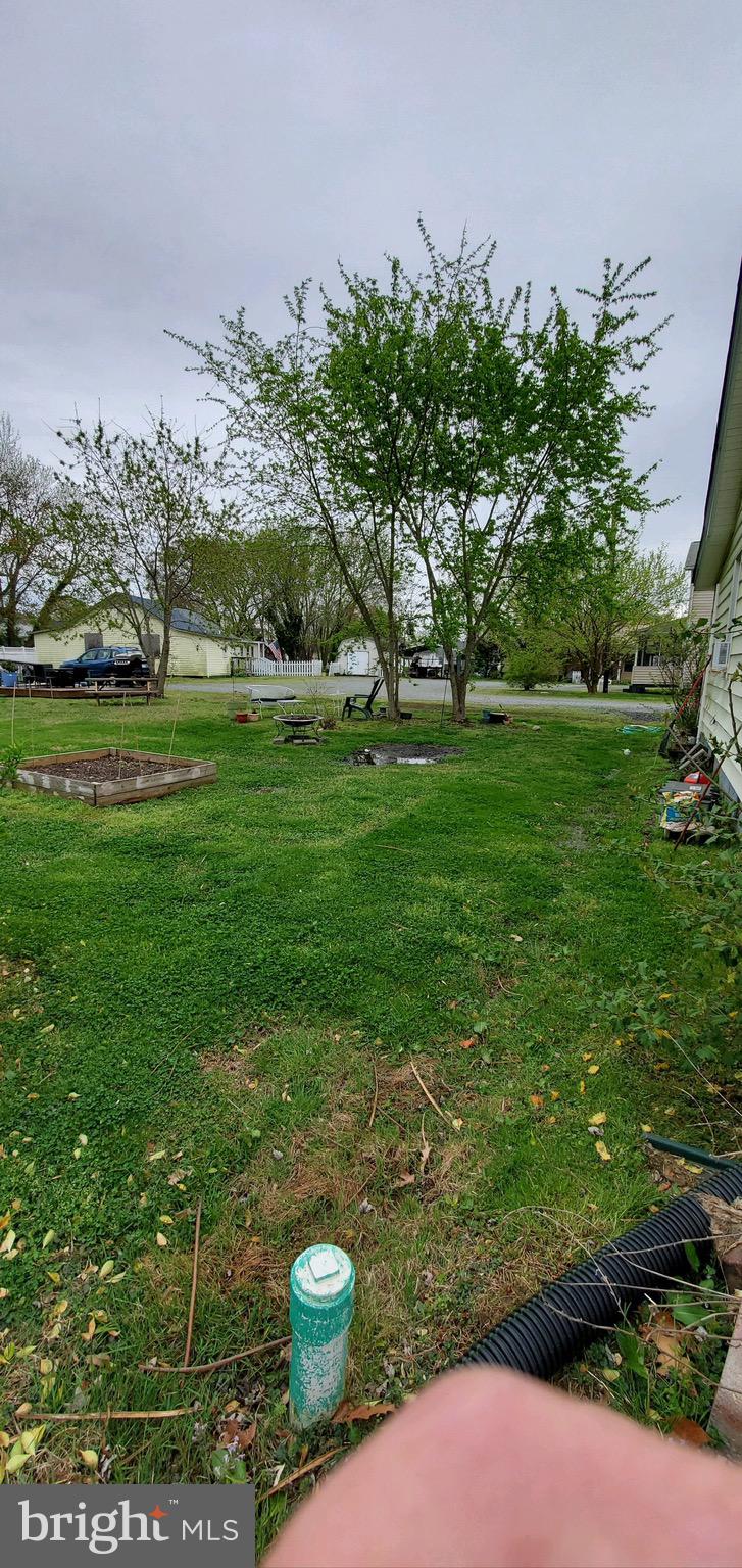 TOWN OF COLONIAL BEACH - Residential Lease