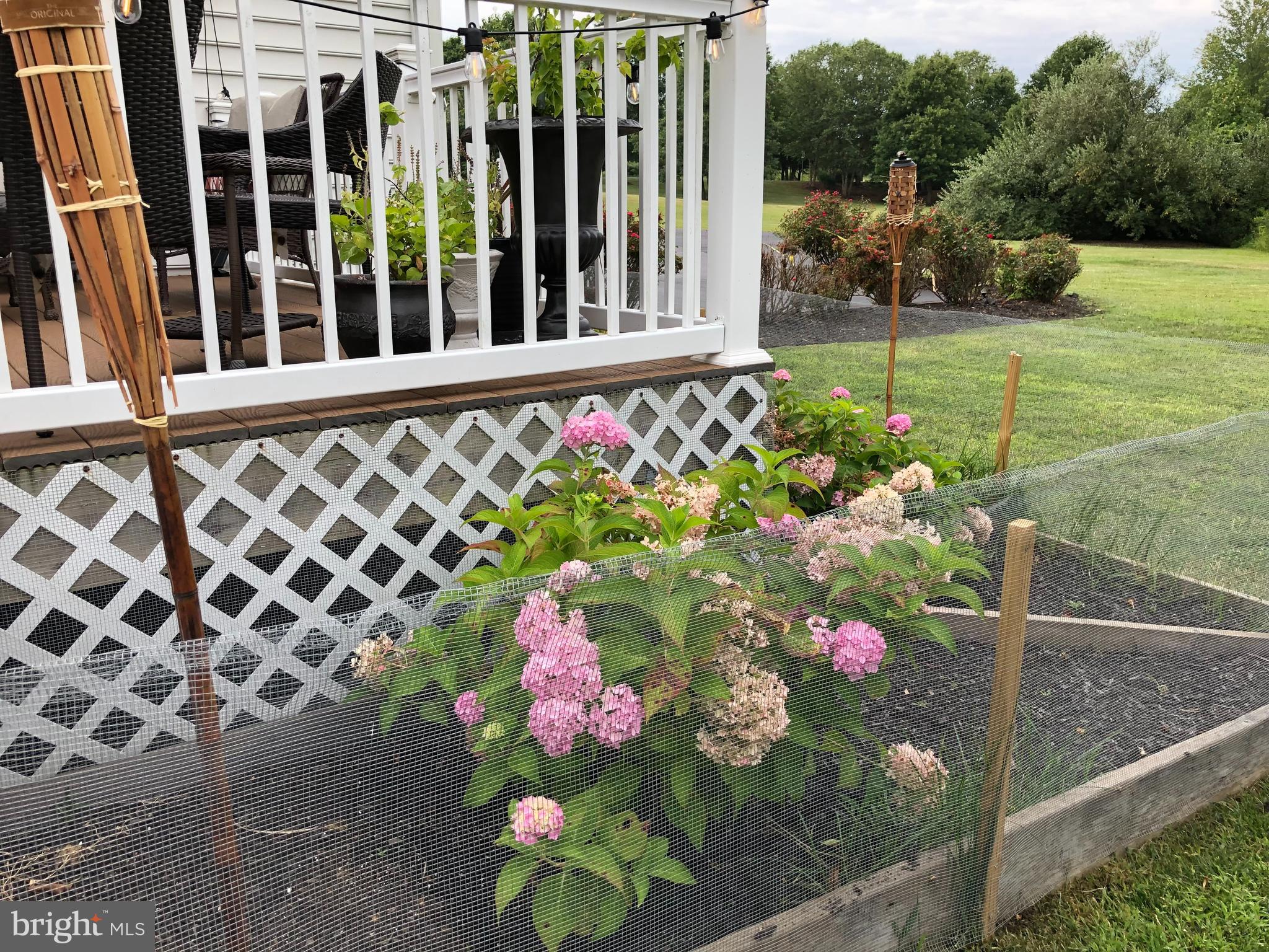 GREENE MILL PRESERVE - Residential