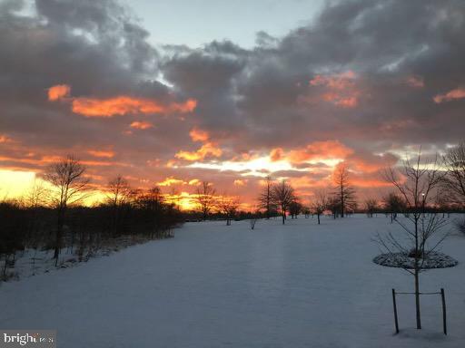 GREENE MILL PRESERVE - Residential