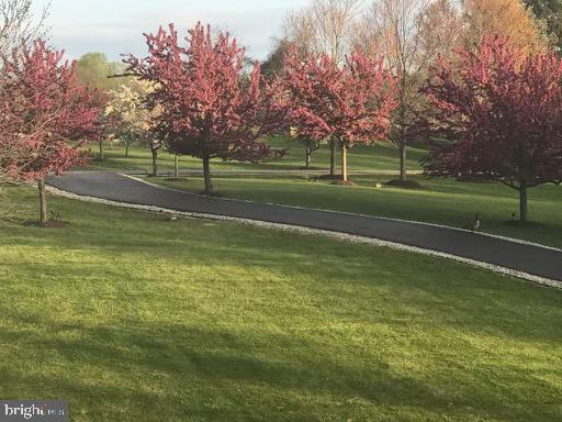 GREENE MILL PRESERVE - Residential