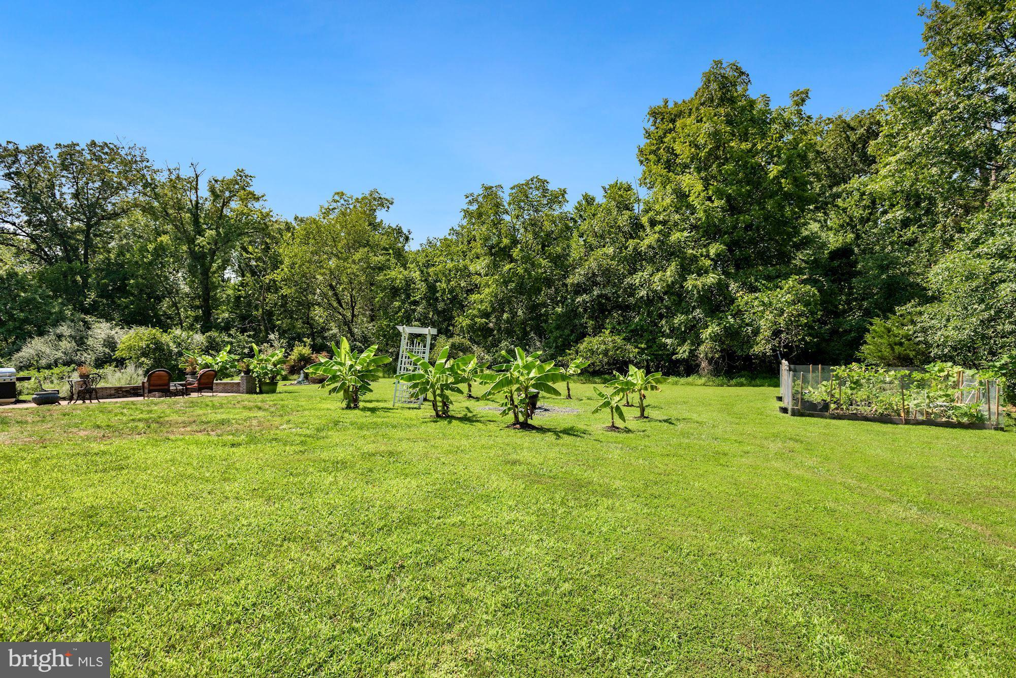 GREENE MILL PRESERVE - Residential