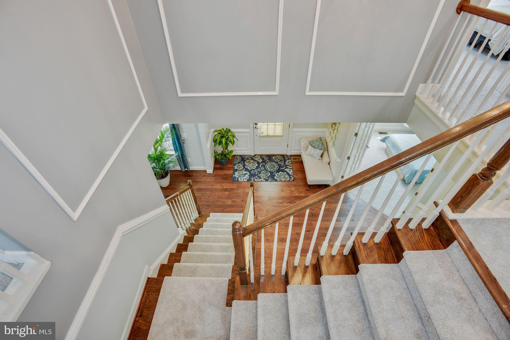 GREENE MILL PRESERVE - Residential