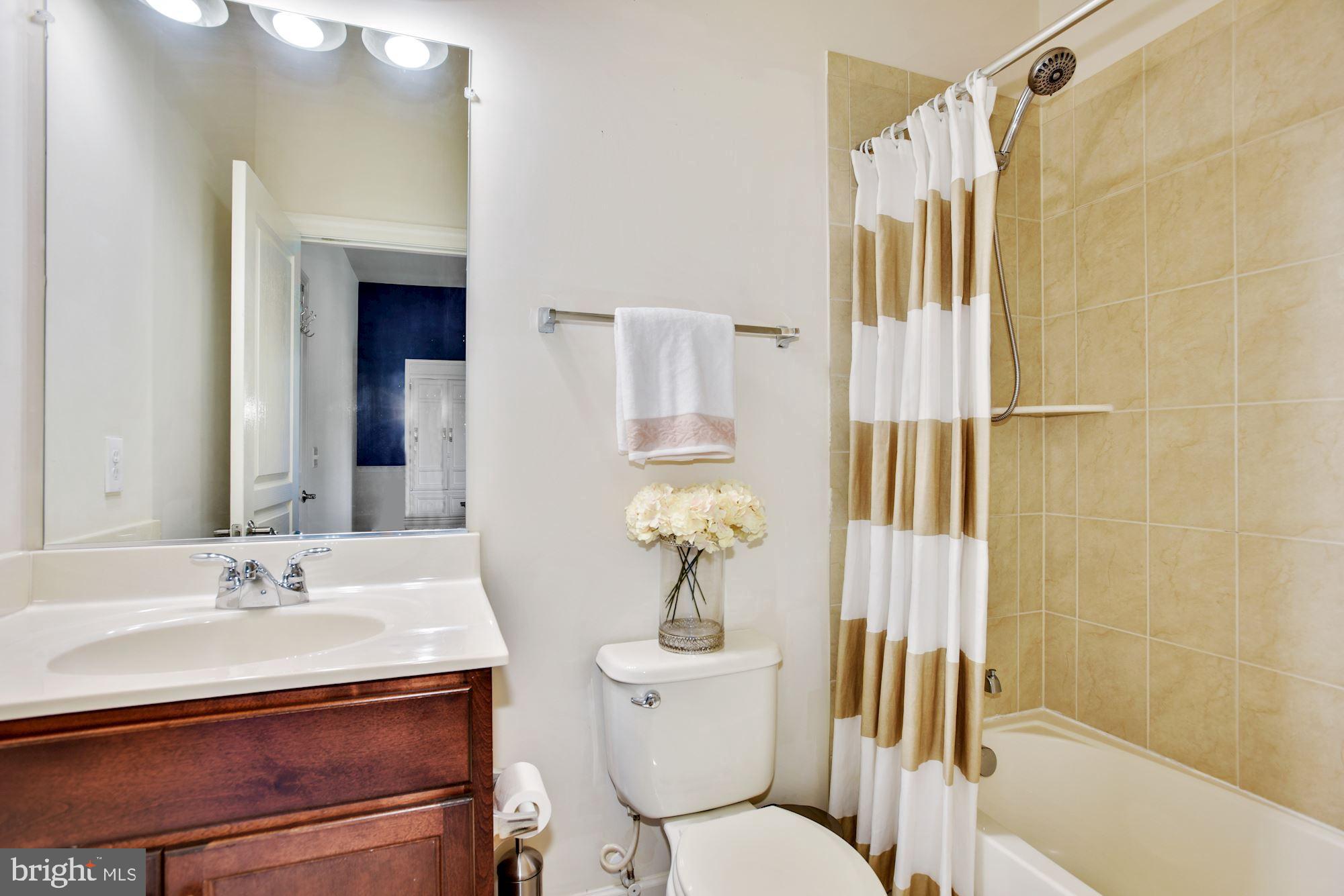 GREENE MILL PRESERVE - Residential