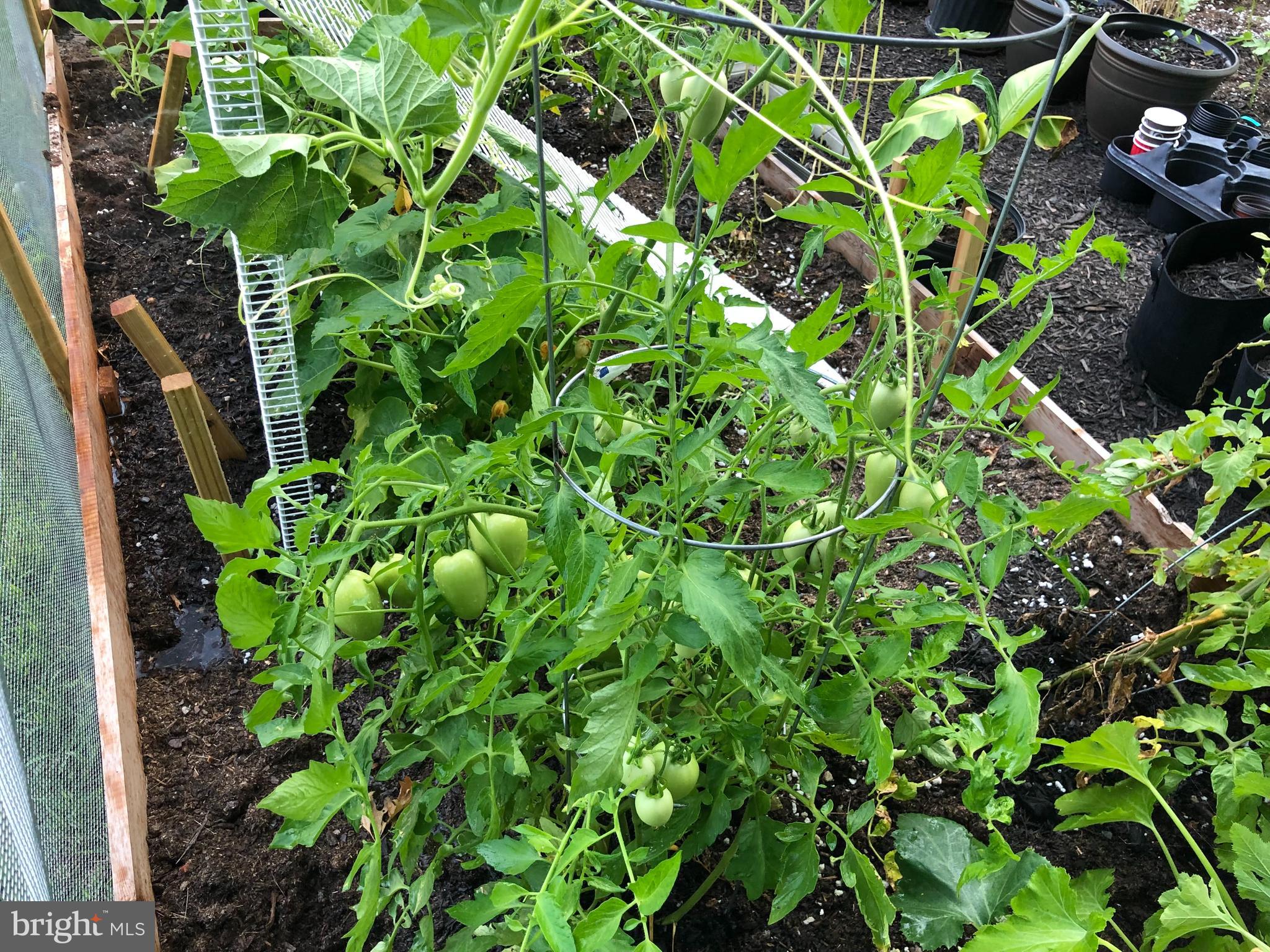 GREENE MILL PRESERVE - Residential