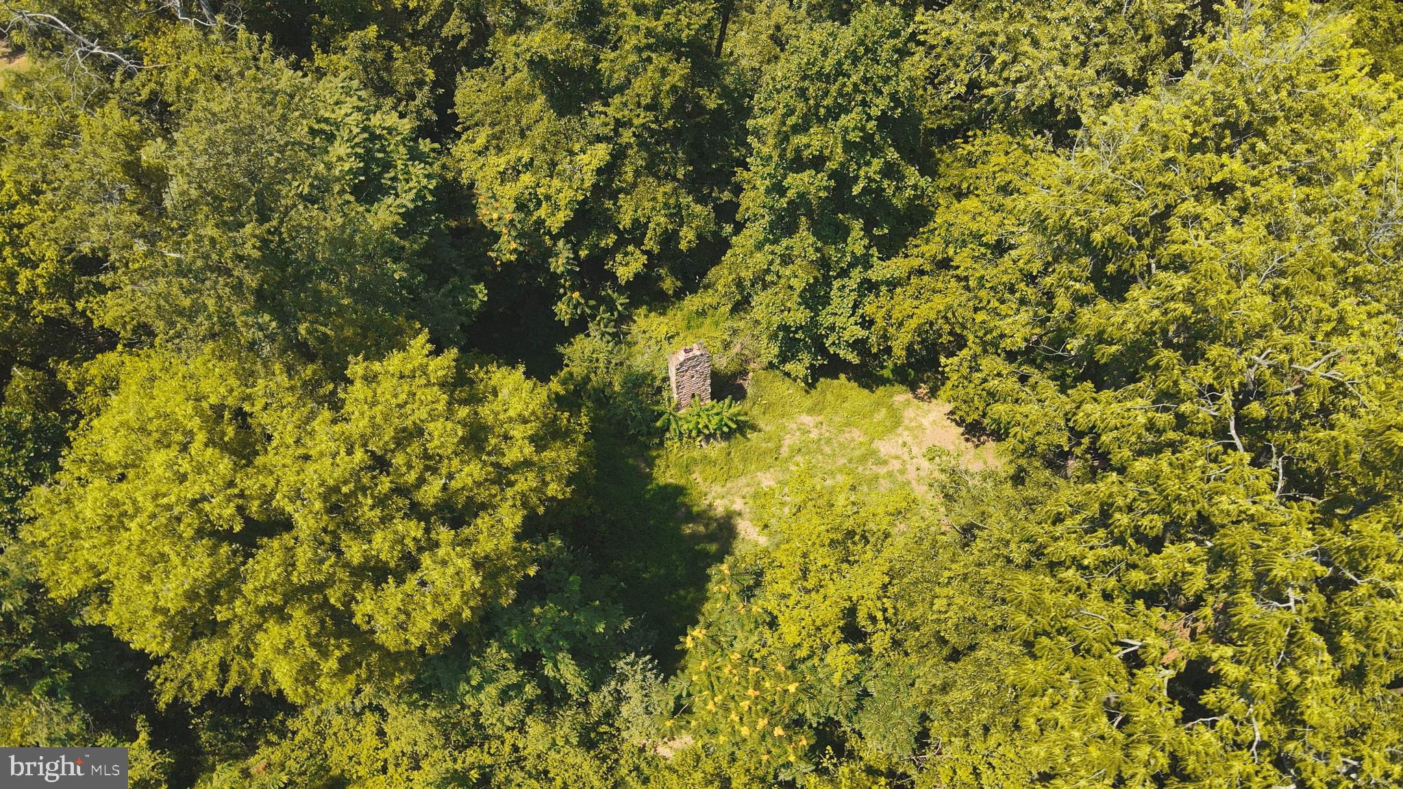 GREENE MILL PRESERVE - Residential