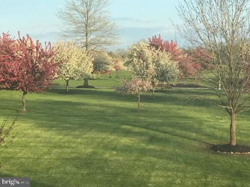 GREENE MILL PRESERVE - Residential