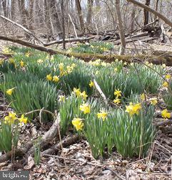 GREENE MILL PRESERVE - Residential