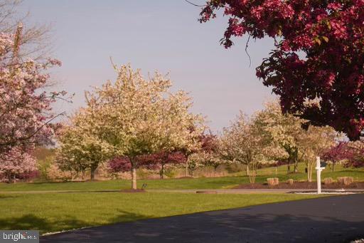 GREENE MILL PRESERVE - Residential