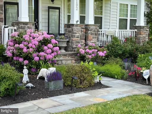 GREENE MILL PRESERVE - Residential