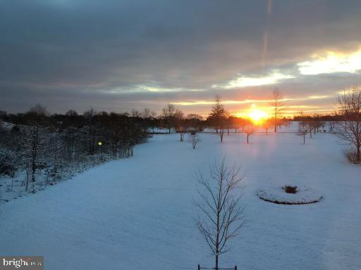 GREENE MILL PRESERVE - Residential