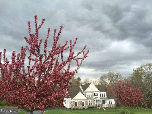 GREENE MILL PRESERVE - Residential