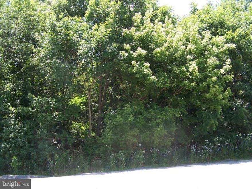 Make this wooded lot the ideal location to build your dream home. Recent percolation test. Minutes from Greencastle, but a country setting. Less than one mile from the Antrim Township Community Park and Martin's Mill Covered Bridge. Convenient for commuters to I-81 & I-70, Rts 11 & 16. Being sold in "as-is" condition by Bank/Owner.