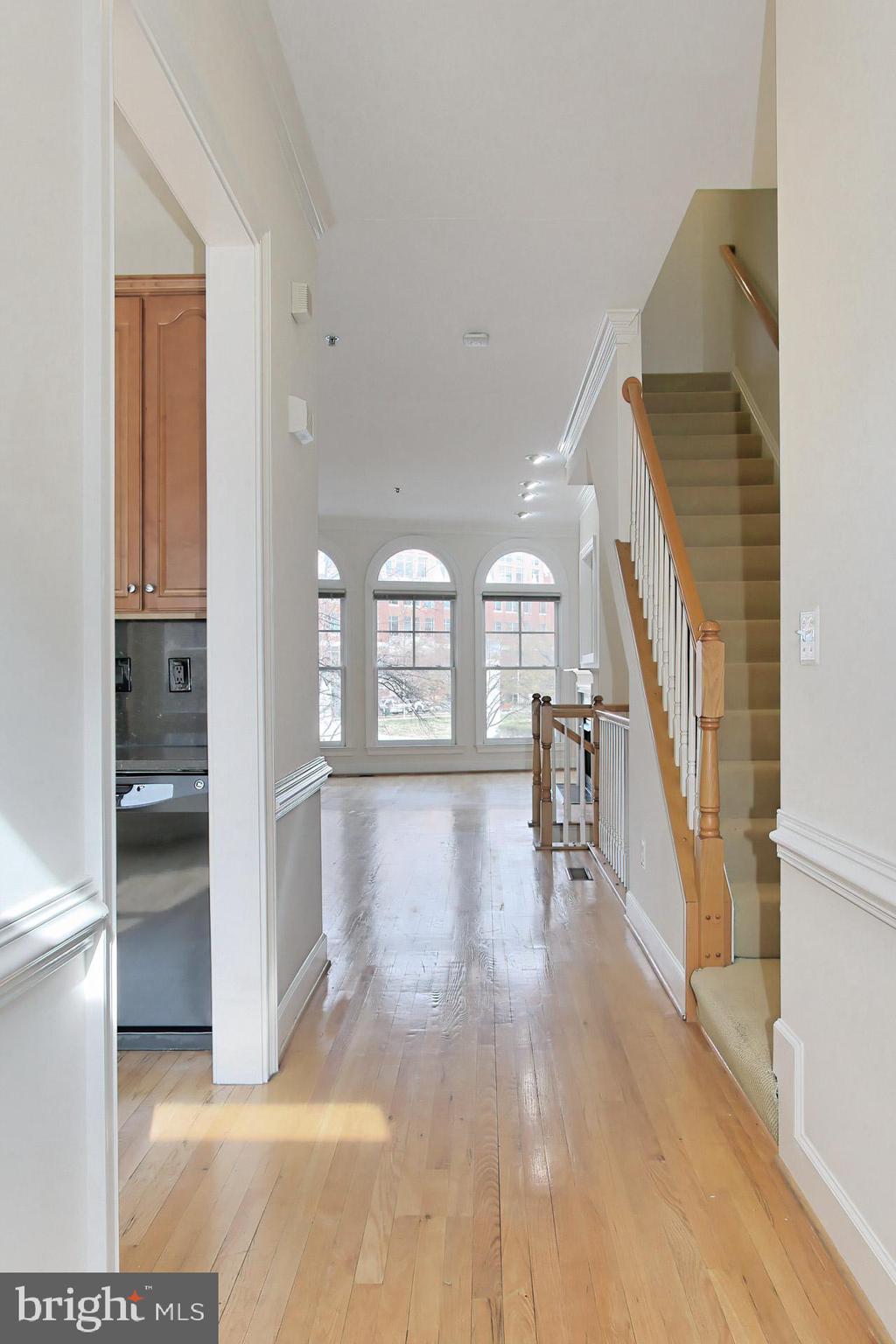 CARLYLE - Residential