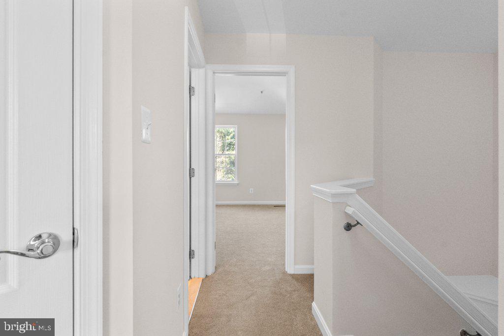 MONMOUTH MEADOWS - Residential