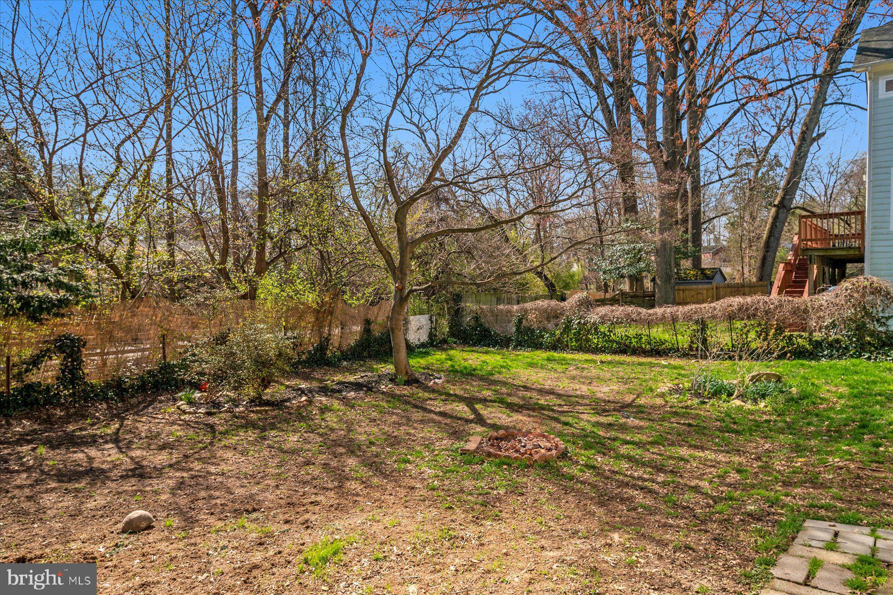 TAKOMA PARK - Residential