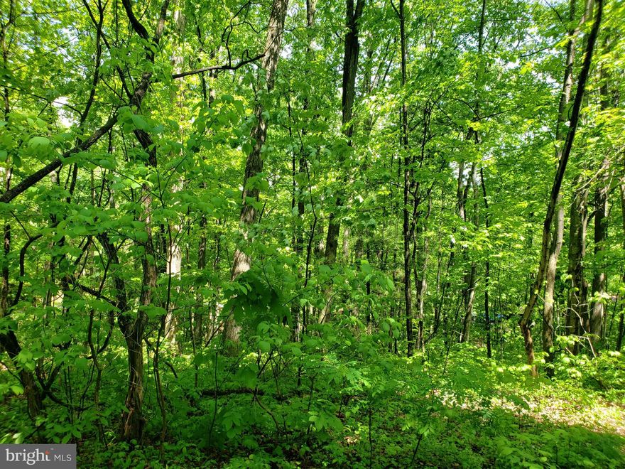 Front on Lake Drive and Lillards Road. Great for recreational use. Has picnic area and pond near by.