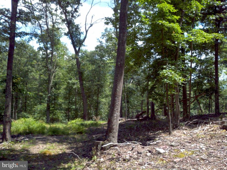 29.10 acres Bordering National Forest & National Forest Stream. Wooded with cleared cabin Sites. electric is nearby. On bordering property. Very private and secluded private road into property shared woth the adjoining property owner. A must see to appreciate the privacy and potentential mountain views with rock out croppings. Wildlife is abundant on this property and the adjoing National Forest. Located behind locked gate. No Restrictions. No Hoa. Coordinates 38°38'31.8"N 79°26'21.5"W
38.642166, -79.439295