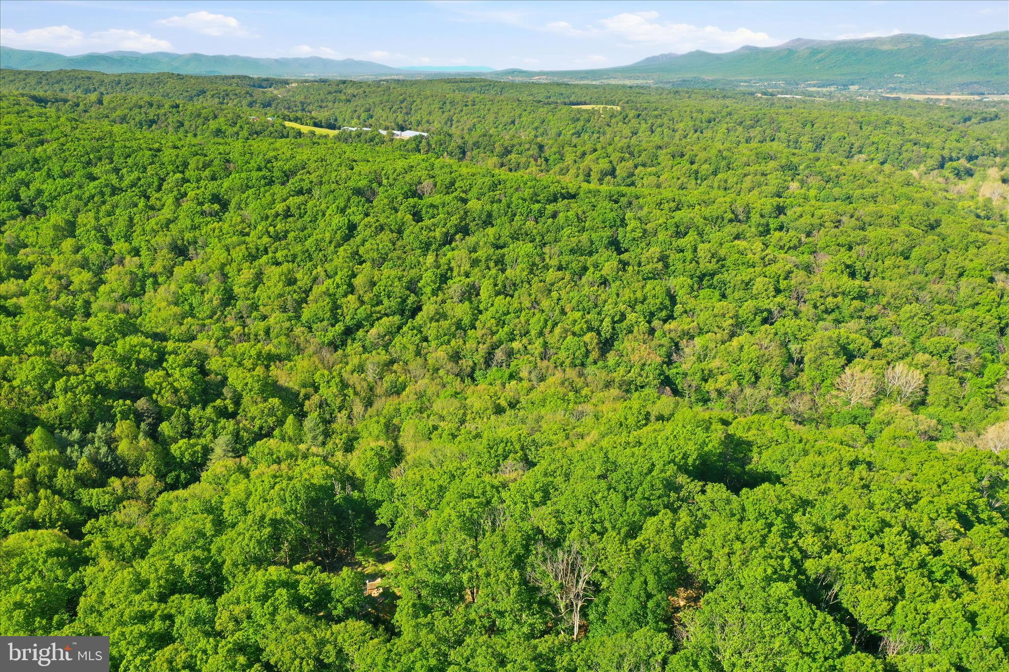 SHENANDOAH GAP - Land