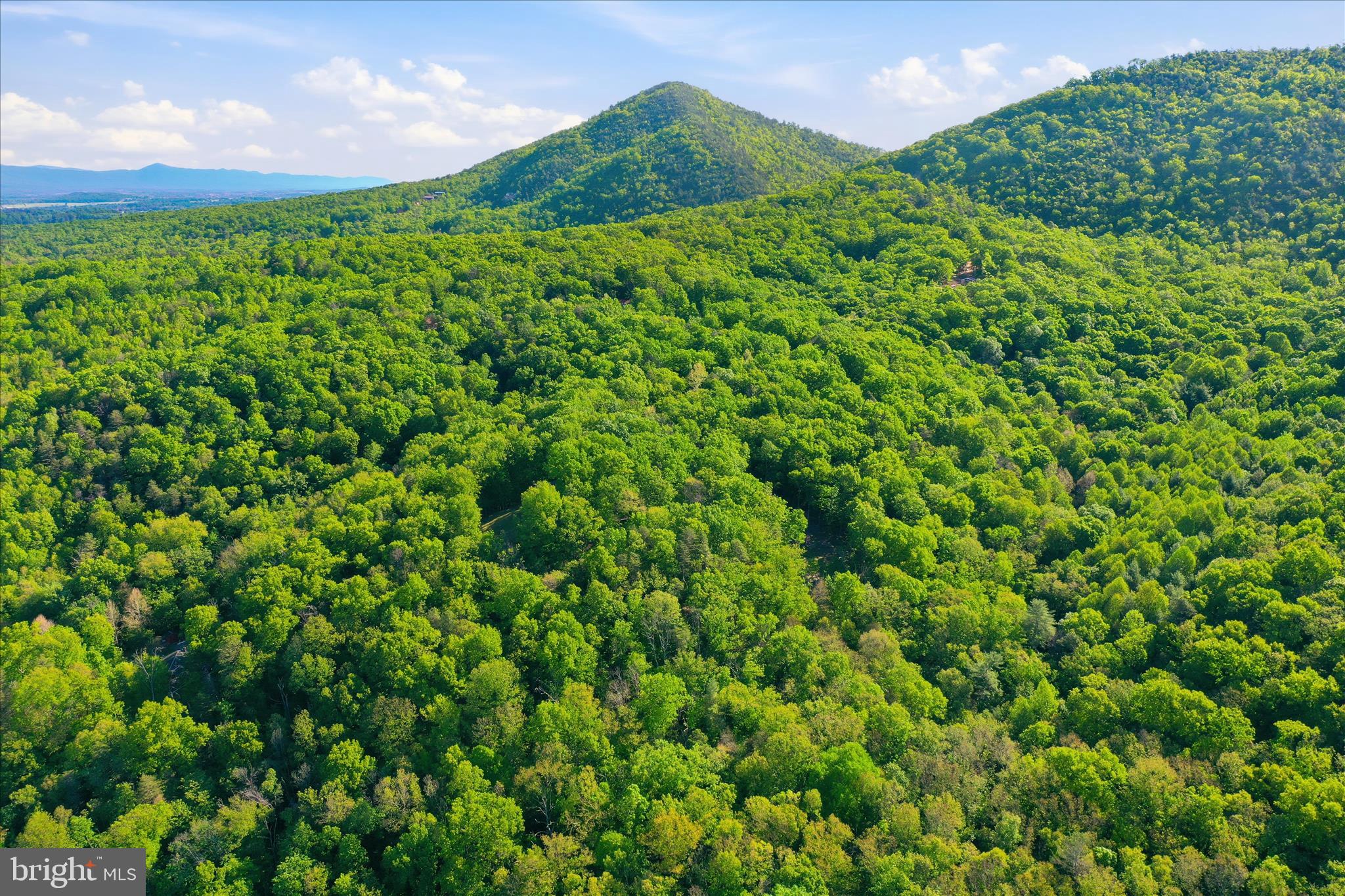 SHENANDOAH GAP - Land