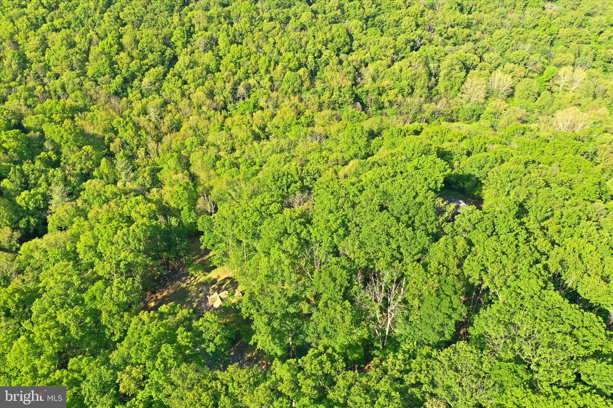 SHENANDOAH GAP - Land