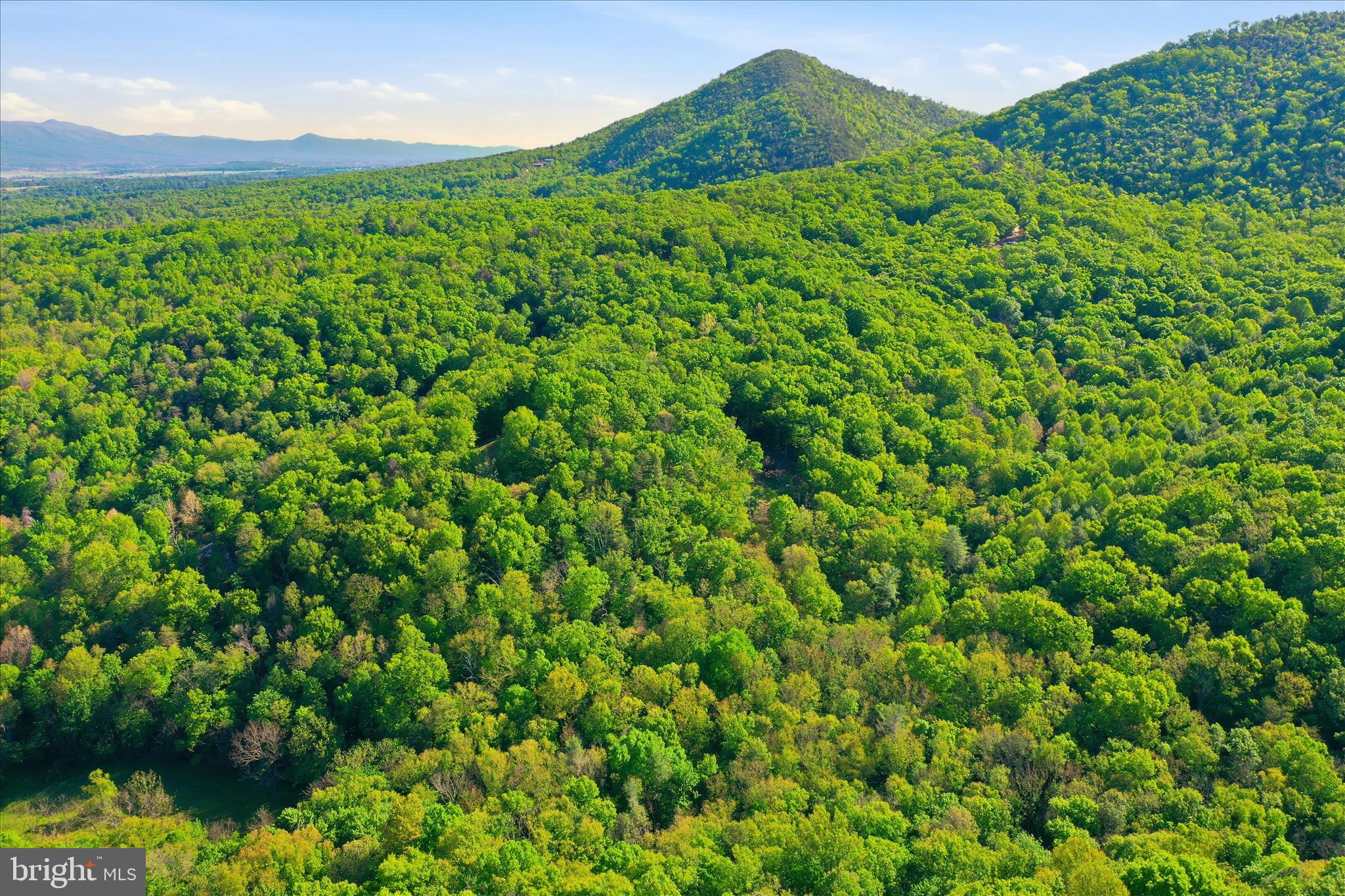 SHENANDOAH GAP - Land