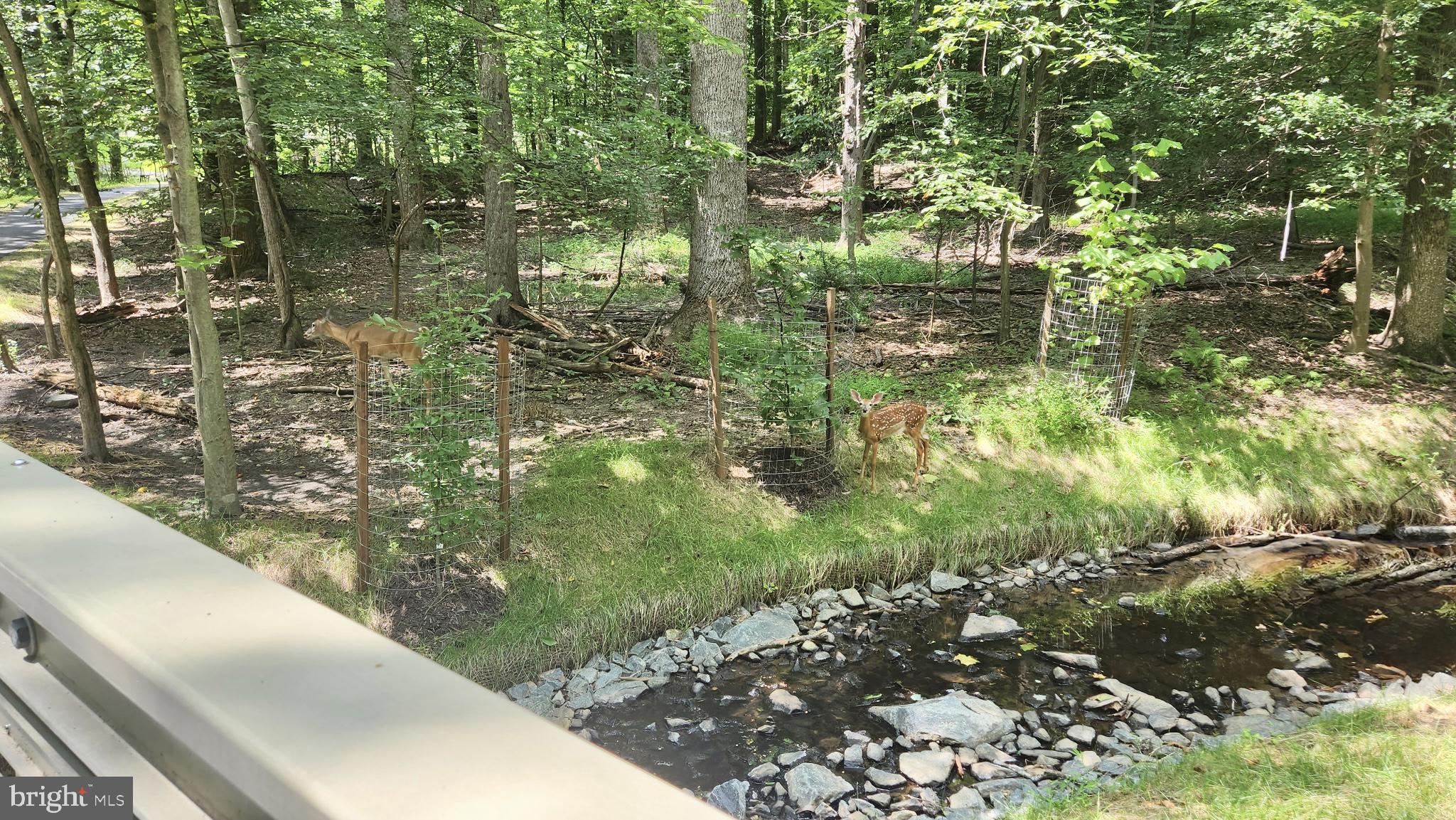 DUFIEF - Residential