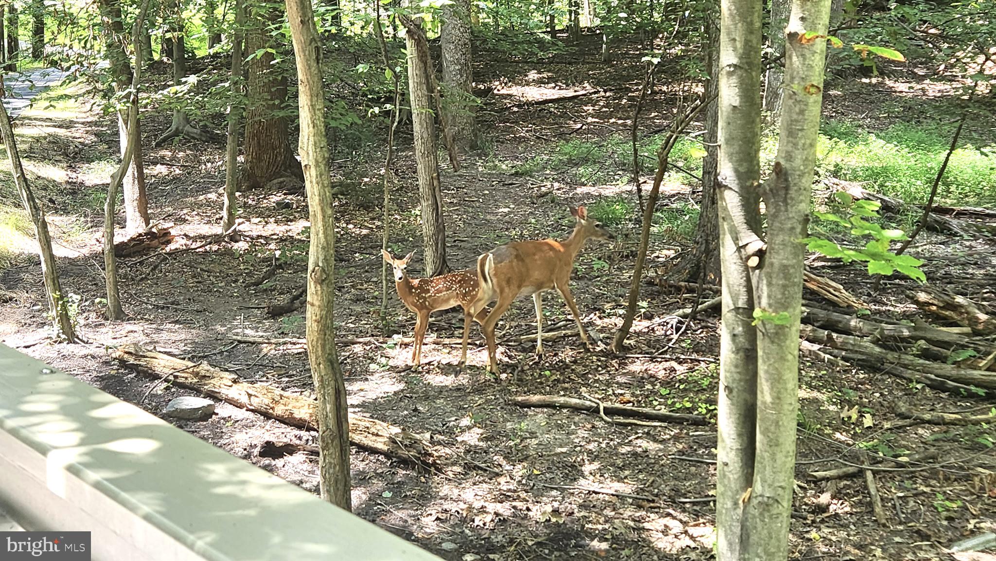 DUFIEF - Residential