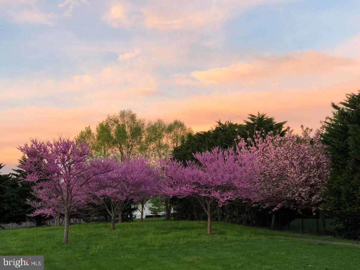STONE RIDGE - Residential