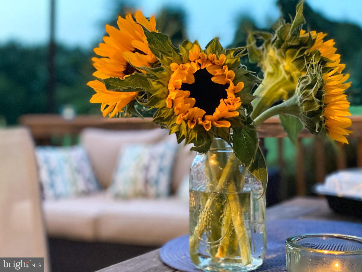 STONE RIDGE - Residential