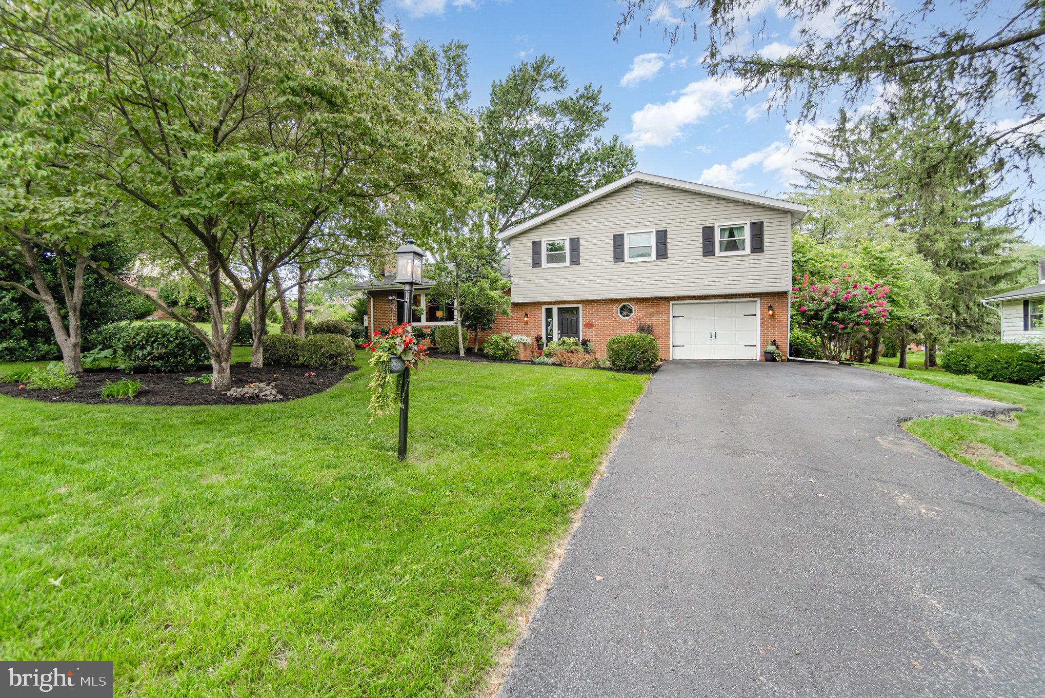 55 LOGGING ROAD