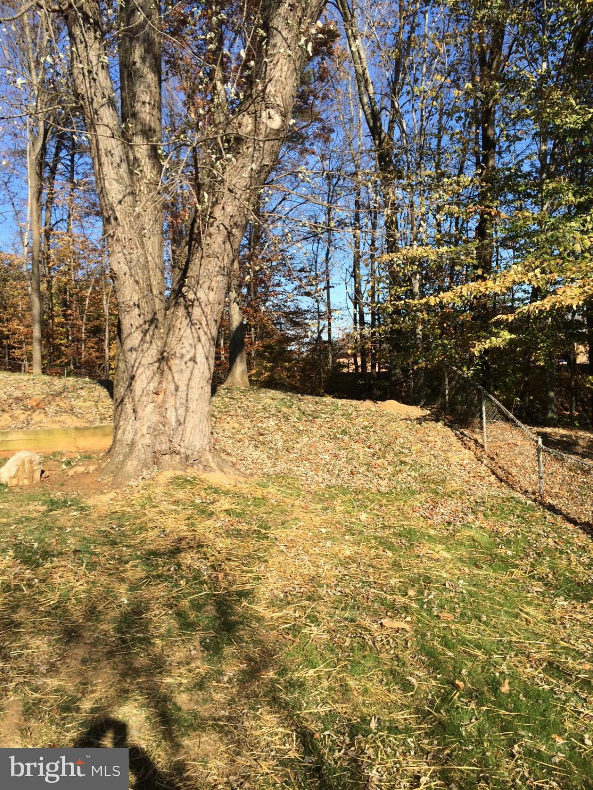 DALE CITY - Residential Lease