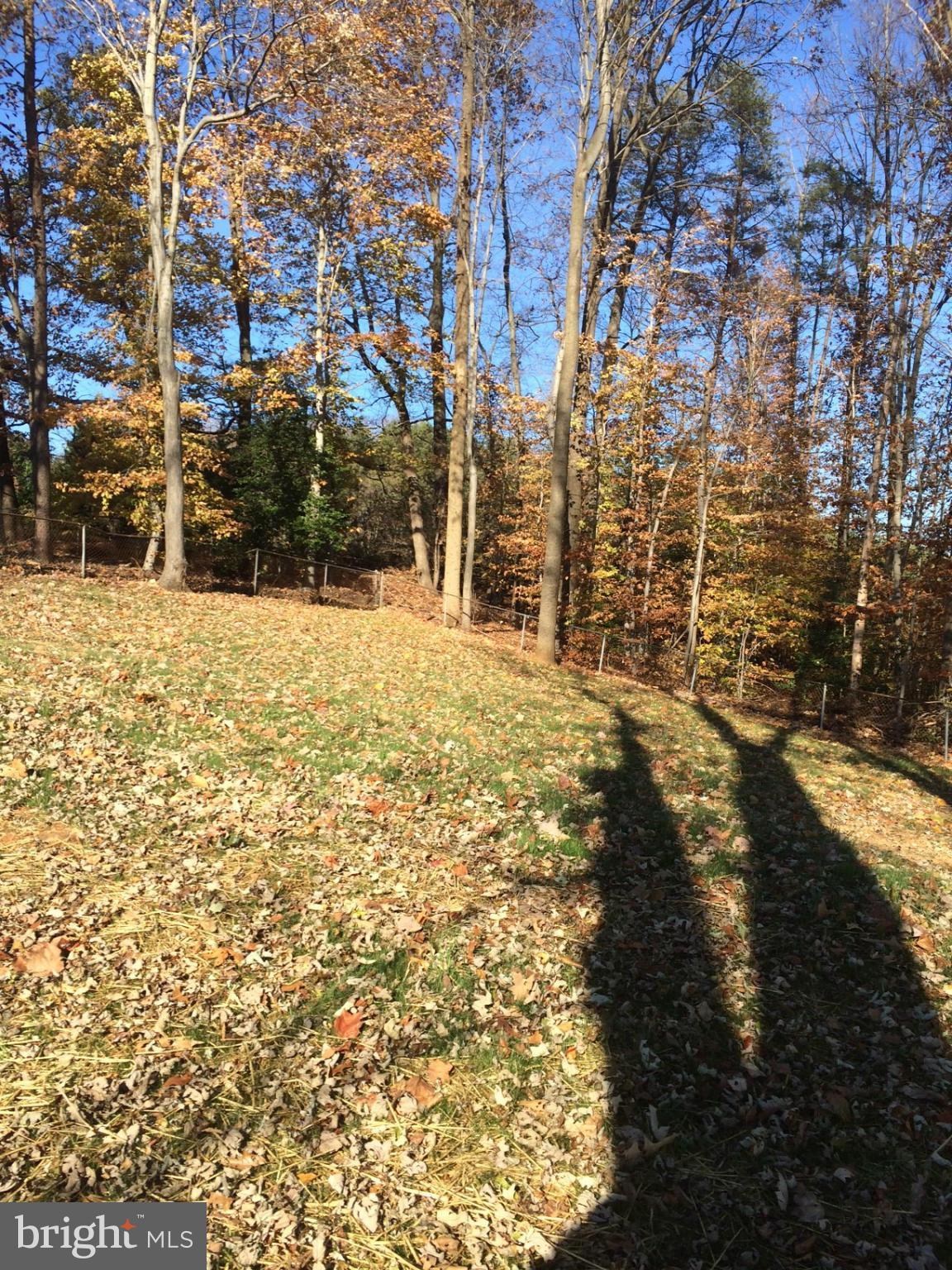 DALE CITY - Residential Lease