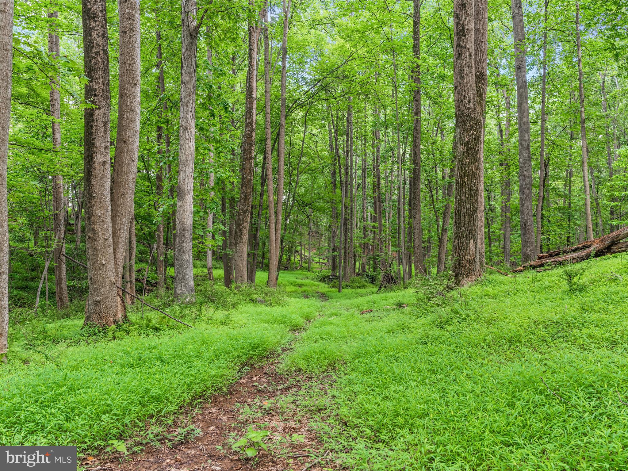 CASHELL ESTATES - Residential